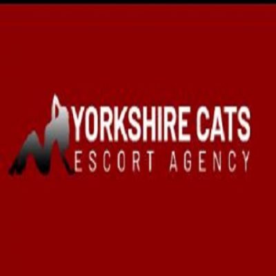 Yorkshire Cats