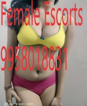 Call Girls In Aerocity Call Girls Service Delhi +91-9958018831